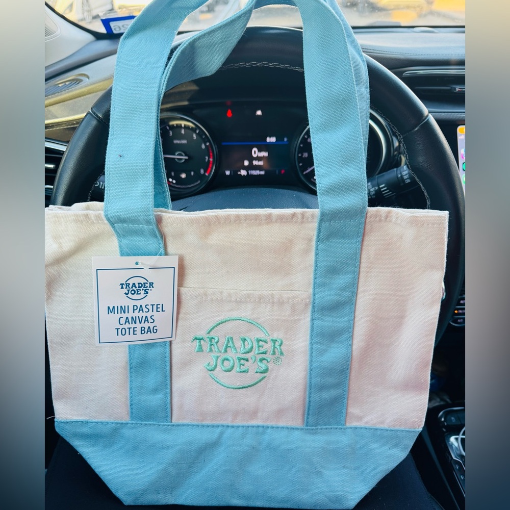 Trader Joe's 2026 Spring Mini Pastel Canvas Tote in Light Blue and Cream